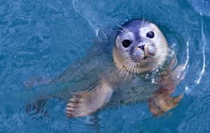 Orizzontale piccola 5 (1)-min