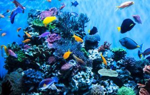 Orizzontale piccola 6 (1)-min